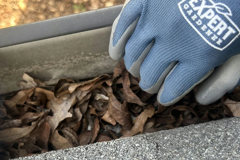 Gutter Cleaning Mountain View AR