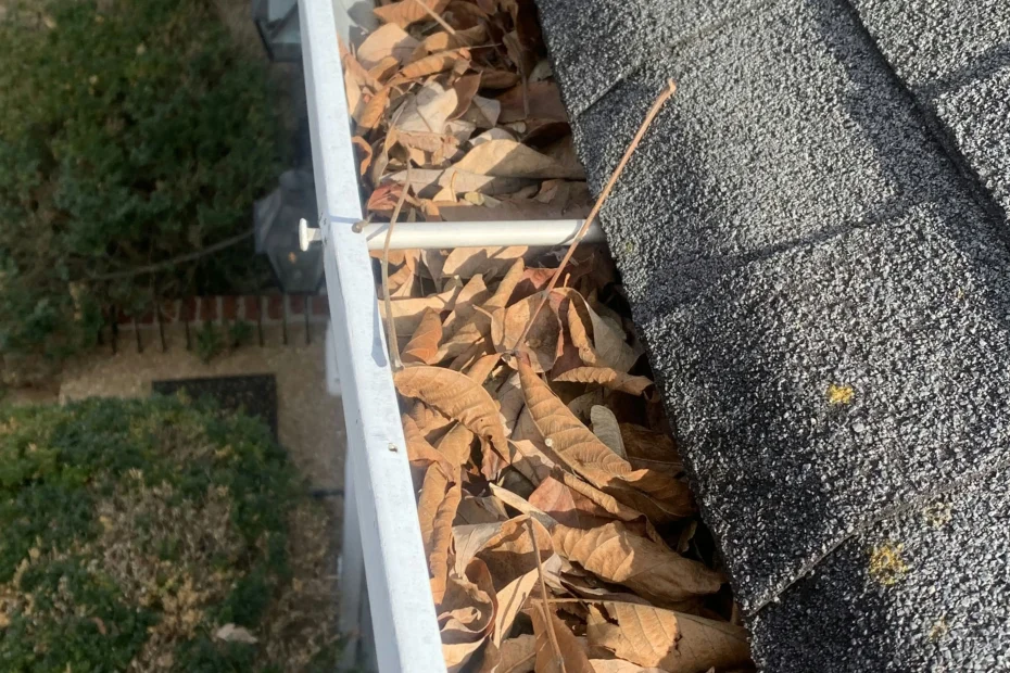 Gutter Cleaning Mountain View AR