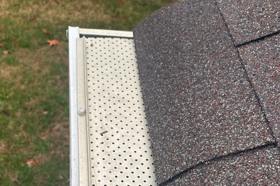 Mountain View Gutter Cleaning