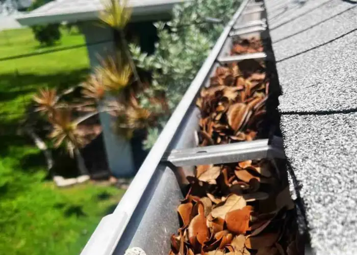 Mountain View gutter cleaning home page